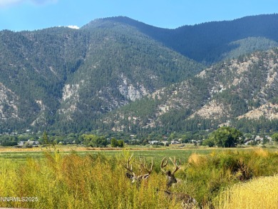 A rare opportunity to own 40 acres of fully water-righted ground on  in Nevada - for sale on GolfHomes.com, golf home, golf lot