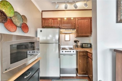 TURNKEY mtn condo w/LONG RANGE VIEWS for UNDER $95K! Buy now & on Beech Mountain Club in North Carolina - for sale on GolfHomes.com, golf home, golf lot