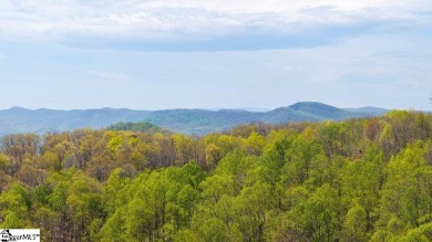 Premier Residential Lot with Mountain Views in The Cliffs at on The Cliffs at Glassy Golf and Country Club in South Carolina - for sale on GolfHomes.com, golf home, golf lot