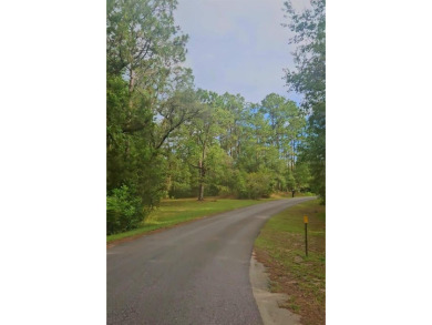 Unique opportunity to build your dream home in Rainbow Springs! on Rainbows End Golf Club in Florida - for sale on GolfHomes.com, golf home, golf lot
