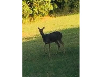 Three beautiful wooded lots close to main lake at Sugar Valley on Sugar Valley Lakes Golf Course in Kansas - for sale on GolfHomes.com, golf home, golf lot