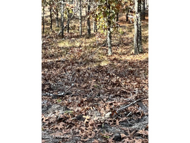 Rare Find near Foxfire with these 11 acre Parcels. There are a on Foxfire Golf and Country Club in North Carolina - for sale on GolfHomes.com, golf home, golf lot