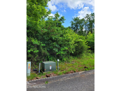 Outstanding opportunity to build your dream home in a beautiful on Woodlake Golf Club in Tennessee - for sale on GolfHomes.com, golf home, golf lot