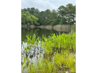 Don't miss this incredible opportunity to own Lot 51-a spacious on Bay Creek Golf Club in Virginia - for sale on GolfHomes.com, golf home, golf lot