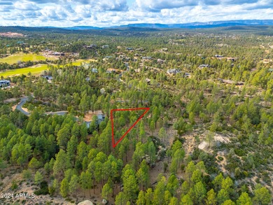 BACKING NATIONAL FOREST IN THE RIM GOLF CLUB! Nestled within the on The Rim Golf Club in Arizona - for sale on GolfHomes.com, golf home, golf lot