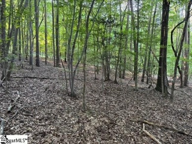 A great opportunity to own a wooded lot bordering Palmetto Hills on The Creek Golf Club in South Carolina - for sale on GolfHomes.com, golf home, golf lot