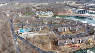 WHAT A VIEW! You feel like you are on the edge of the water on Seasons Ridge At Four Seasons in Missouri - for sale on GolfHomes.com, golf home, golf lot