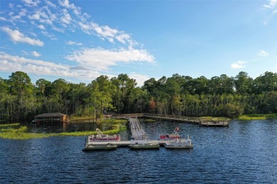 Welcome to your dream dwelling in the serene and sought after on Harmony Golf Preserve in Florida - for sale on GolfHomes.com, golf home, golf lot