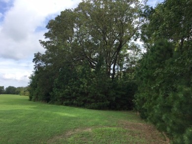 Beautiful building lot located in Cape Charles gated community on Bay Creek Golf Club in Virginia - for sale on GolfHomes.com, golf home, golf lot