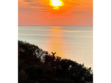 Enjoy panoramic views of the Long Island Sound and the most on Baiting Hollow Club in New York - for sale on GolfHomes.com, golf home, golf lot