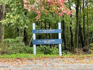 Invest in a piece of mountain paradise with this multiple Studio on Blue Knob Rec Area Golf Course in Pennsylvania - for sale on GolfHomes.com, golf home, golf lot