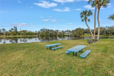 Welcome to the pinnacle of resort-style living within the on Belleair Country Club in Florida - for sale on GolfHomes.com, golf home, golf lot