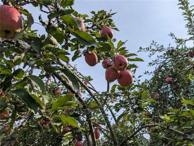 This home is the perfect blend of comfort, charm, function, and on Linn Valley Lakes - Deer Trace Golf Course in Kansas - for sale on GolfHomes.com, golf home, golf lot