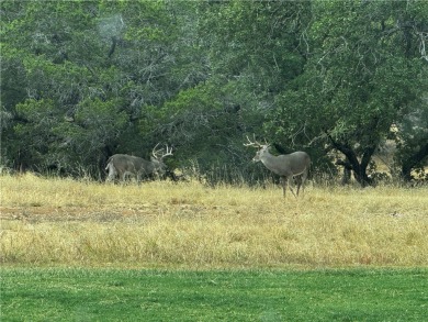 Build your dream home in the heart of the Texas Hill Country! on Apple Rock Golf Course - Horseshoe Bay in Texas - for sale on GolfHomes.com, golf home, golf lot