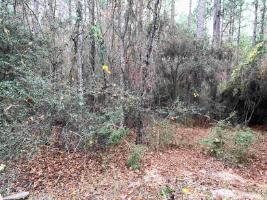 Beautiful 1/4 acre lot in Rayburn Country! Perfect location and on Rayburn Country Club in Texas - for sale on GolfHomes.com, golf home, golf lot