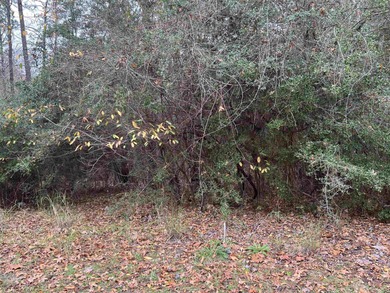 1/4 acre lot in Rayburn Country! Located just a golf cart ride on Rayburn Country Club in Texas - for sale on GolfHomes.com, golf home, golf lot