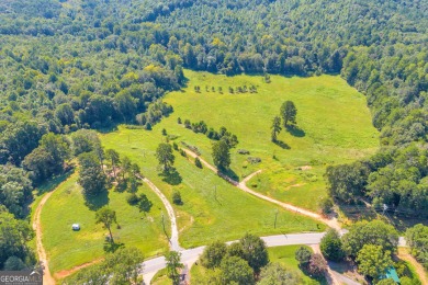 Discover an outstanding investment opportunity with this on Currahee Golf Club in Georgia - for sale on GolfHomes.com, golf home, golf lot