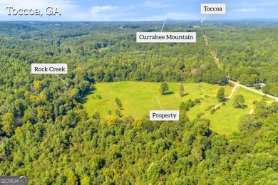 Discover an outstanding investment opportunity with this on Currahee Golf Club in Georgia - for sale on GolfHomes.com, golf home, golf lot