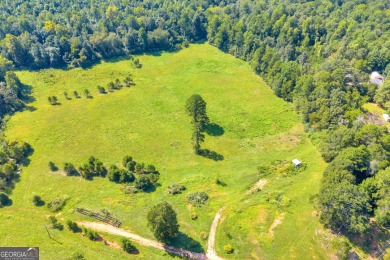 Discover an outstanding investment opportunity with this on Currahee Golf Club in Georgia - for sale on GolfHomes.com, golf home, golf lot