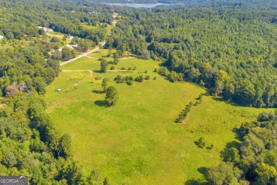 Discover an outstanding investment opportunity with this on Currahee Golf Club in Georgia - for sale on GolfHomes.com, golf home, golf lot