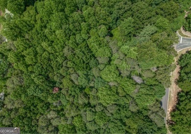 Beautiful 1.30-acre lot located in The Orchard - one of North on The Orchard Golf and Country Club in Georgia - for sale on GolfHomes.com, golf home, golf lot