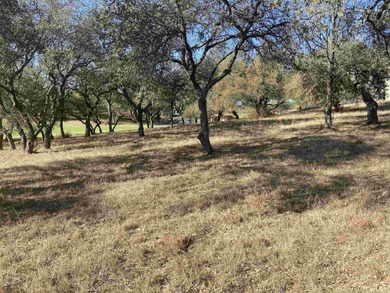 This beautiful, tree-covered golf course property offers on Ram Rock Golf Course in Texas - for sale on GolfHomes.com, golf home, golf lot