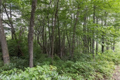 Discover the perfect canvas to create a dream home within the on Cullasaja Club in North Carolina - for sale on GolfHomes.com, golf home, golf lot