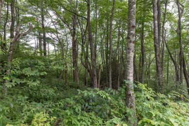 Discover the perfect canvas to create a dream home within the on Cullasaja Club in North Carolina - for sale on GolfHomes.com, golf home, golf lot