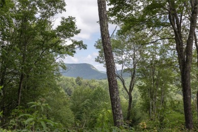 Discover the perfect canvas to create a dream home within the on Cullasaja Club in North Carolina - for sale on GolfHomes.com, golf home, golf lot