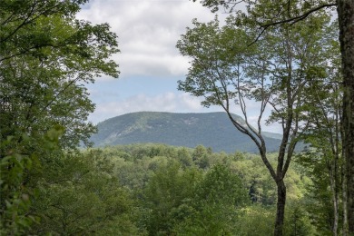 Discover the perfect canvas to create a dream home within the on Cullasaja Club in North Carolina - for sale on GolfHomes.com, golf home, golf lot