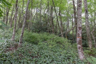 Discover the perfect canvas to create a dream home within the on Cullasaja Club in North Carolina - for sale on GolfHomes.com, golf home, golf lot