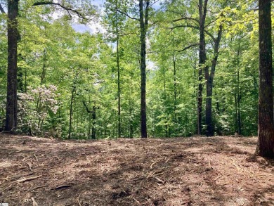 Nestled in the mountains just minutes from Greenville, SC, make on The Cliffs Valley Golf Course in South Carolina - for sale on GolfHomes.com, golf home, golf lot