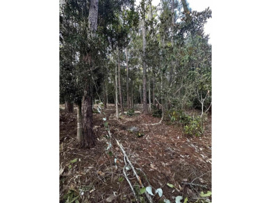 Build your dream home on this 0.93-acre build-ready lot in a on Perdido Bay Golf Club in Florida - for sale on GolfHomes.com, golf home, golf lot