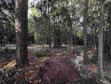 Build your dream home on this 0.93-acre build-ready lot in a on Perdido Bay Golf Club in Florida - for sale on GolfHomes.com, golf home, golf lot