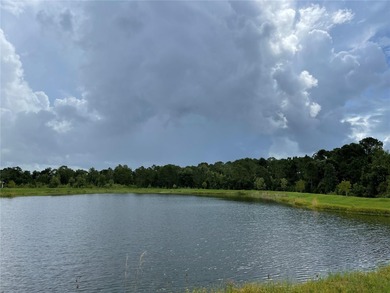Welcome to this nearly new home located in the beautiful on Harmony Golf Preserve in Florida - for sale on GolfHomes.com, golf home, golf lot