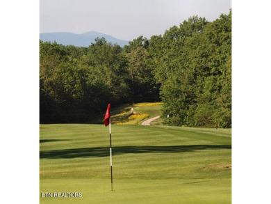 A Light-Filled Log Home in the Heart of Tennessee's Golf on Heatherhurst Golf Course in Tennessee - for sale on GolfHomes.com, golf home, golf lot