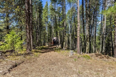 Build your dream mountain retreat on this stunning 1.5-acre lot on Cascade Golf Course in Idaho - for sale on GolfHomes.com, golf home, golf lot