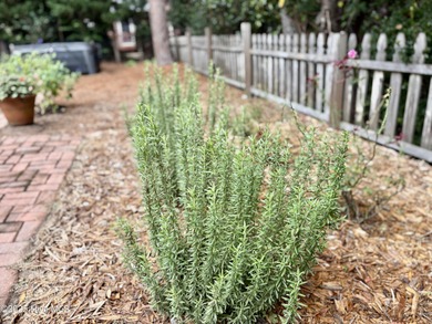 This freshly updated home is a true gem in the desirable on Country Club of North Carolina in North Carolina - for sale on GolfHomes.com, golf home, golf lot