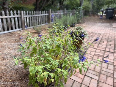 This freshly updated home is a true gem in the desirable on Country Club of North Carolina in North Carolina - for sale on GolfHomes.com, golf home, golf lot