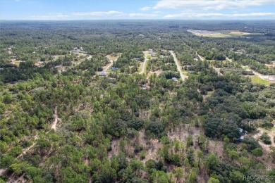 Escape to privacy and space with this 2017-built 3 bedroom, 2 on Pine Ridge Community Golf and Country Club in Florida - for sale on GolfHomes.com, golf home, golf lot