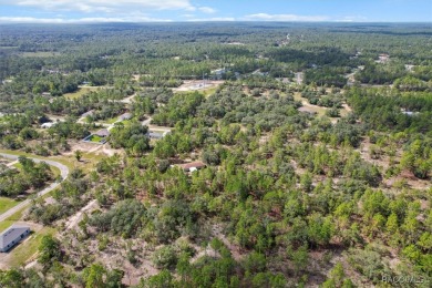 Escape to privacy and space with this 2017-built 3 bedroom, 2 on Pine Ridge Community Golf and Country Club in Florida - for sale on GolfHomes.com, golf home, golf lot