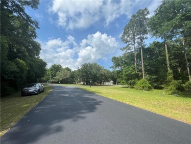 Come see what *Bluff Life* is all about! This homesite is almost on Sapelo Hammock Golf Club in Georgia - for sale on GolfHomes.com, golf home, golf lot