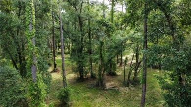 Come see what *Bluff Life* is all about! This homesite is almost on Sapelo Hammock Golf Club in Georgia - for sale on GolfHomes.com, golf home, golf lot