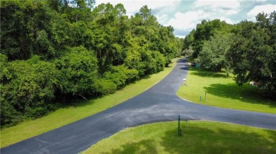 Come see what *Bluff Life* is all about! This homesite is almost on Sapelo Hammock Golf Club in Georgia - for sale on GolfHomes.com, golf home, golf lot