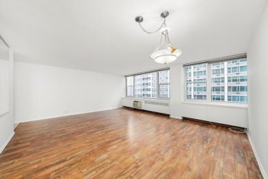Noticeably large one-bedroom condominium in a luxury on Sydney R. Marovitz Golf Course in Illinois - for sale on GolfHomes.com, golf home, golf lot