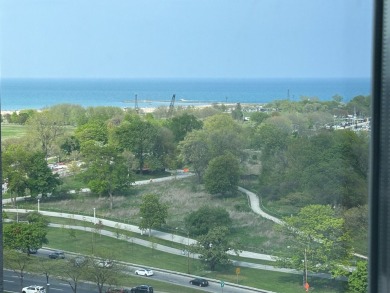 Noticeably large one-bedroom condominium in a luxury on Sydney R. Marovitz Golf Course in Illinois - for sale on GolfHomes.com, golf home, golf lot