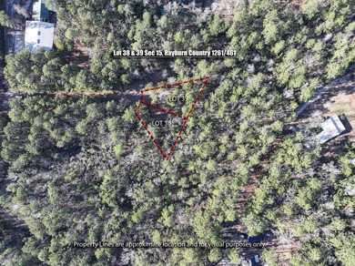 Two Lots. One Dream. Lake Life Starts Here. Being sold together on Rayburn Country Club in Texas - for sale on GolfHomes.com, golf home, golf lot