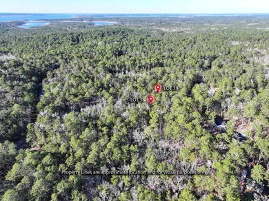 Two Lots. One Dream. Lake Life Starts Here. Being sold together on Rayburn Country Club in Texas - for sale on GolfHomes.com, golf home, golf lot