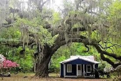 BEAUTIFULLY TREED OCEAN ORIENTED LOT (FOURTH ROW LOT TO BEACH) A on Bloody Point Golf Course and Resort in South Carolina - for sale on GolfHomes.com, golf home, golf lot