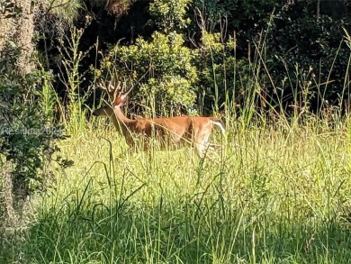 BEAUTIFULLY TREED OCEAN ORIENTED LOT (FOURTH ROW LOT TO BEACH) A on Bloody Point Golf Course and Resort in South Carolina - for sale on GolfHomes.com, golf home, golf lot